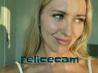 Felicecam