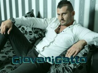 GiovaniGatto