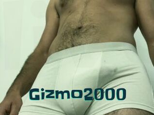 Gizmo2000