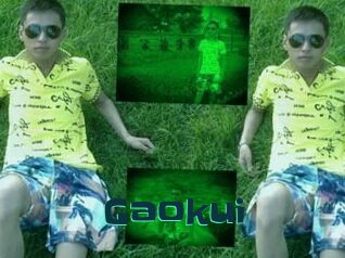 Gaokui