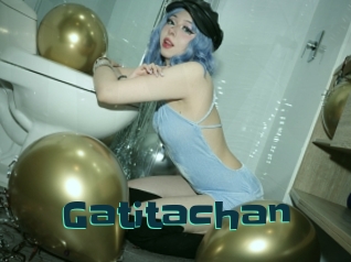 Gatitachan