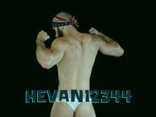 HEVAN12344