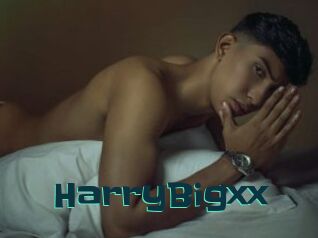 HarryBigxx