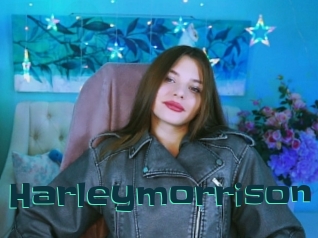 Harleymorrison