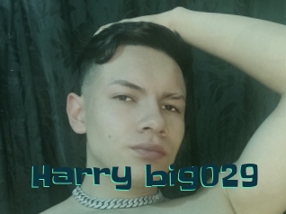 Harry_big029