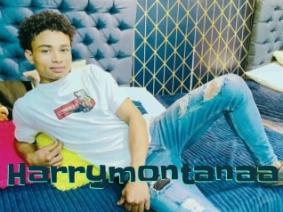 Harrymontanaa