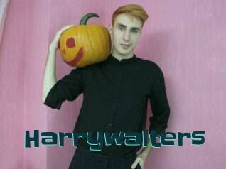 Harrywalters