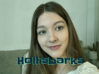 Hollisbarks