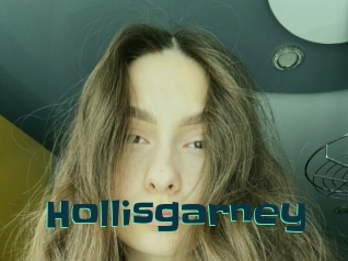Hollisgarney
