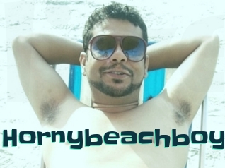 Hornybeachboy