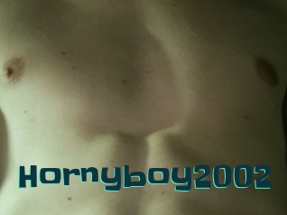 Hornyboy2002