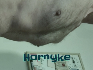 Hornyke