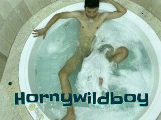 Hornywildboy