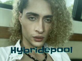 Hybridepool