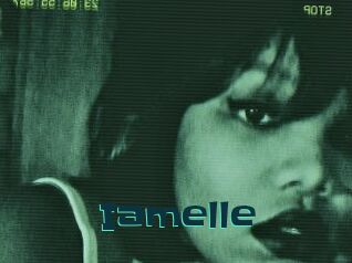 Iamelle