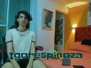 Igorespinoza