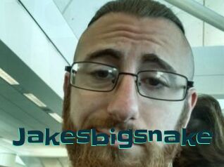 Jakesbigsnake