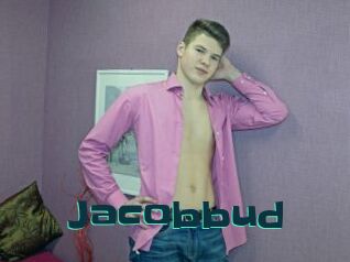 Jacobbud