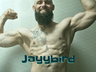 Jayybird