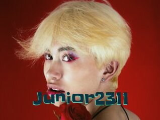 Junior2311