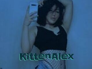 KittenAlex