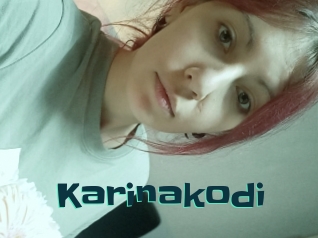 Karinakodi