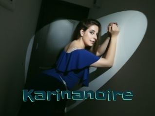 Karinanoire