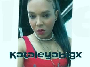 Kataleyabigx