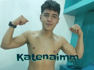 Katenaimm