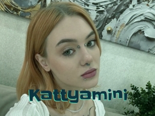 Kattyamini