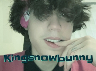 Kingsnowbunny