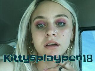 Kittysplaypen18