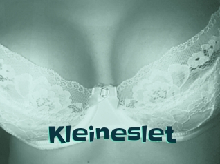 Kleineslet