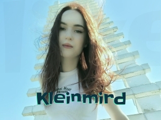 Kleinmird