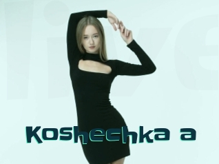 Koshechka_a