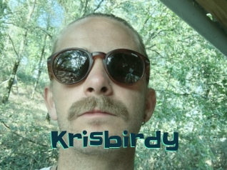 Krisbirdy