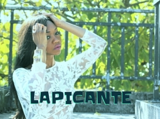LAPICANTE