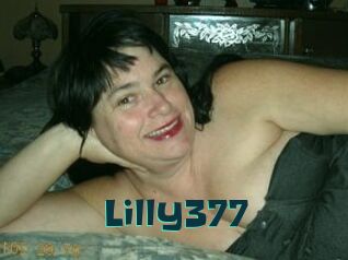 Lilly377