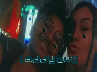 Laddybug