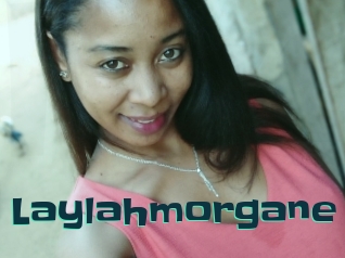 Laylahmorgane