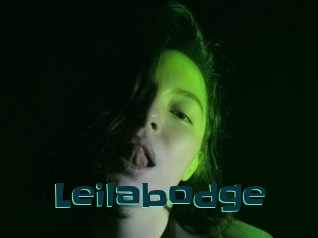 Leilabodge