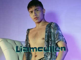 Liamcullen
