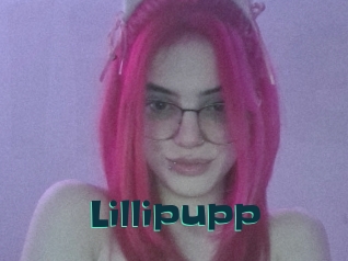 Lillipupp
