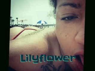 Lilyflower