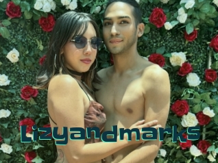 lizyandmarks Live Cams