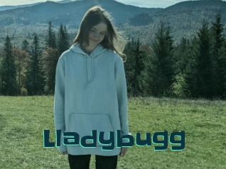 Lladybugg