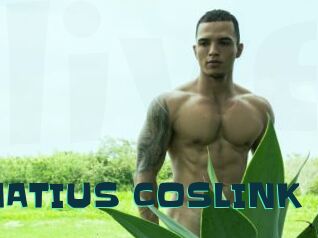 MATIUS_COSLINK