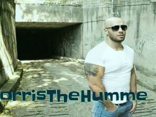 MorrisTheHumme