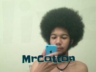 MrCotton Live Cams
