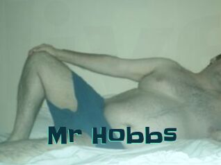 Mr_Hobbs